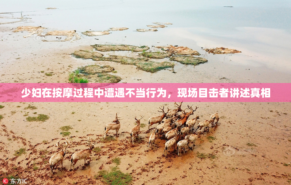 少妇在按摩过程中遭遇不当行为，现场目击者讲述真相