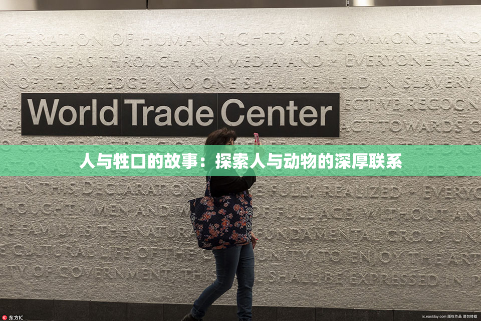 人与牲口的故事：探索人与动物的深厚联系
