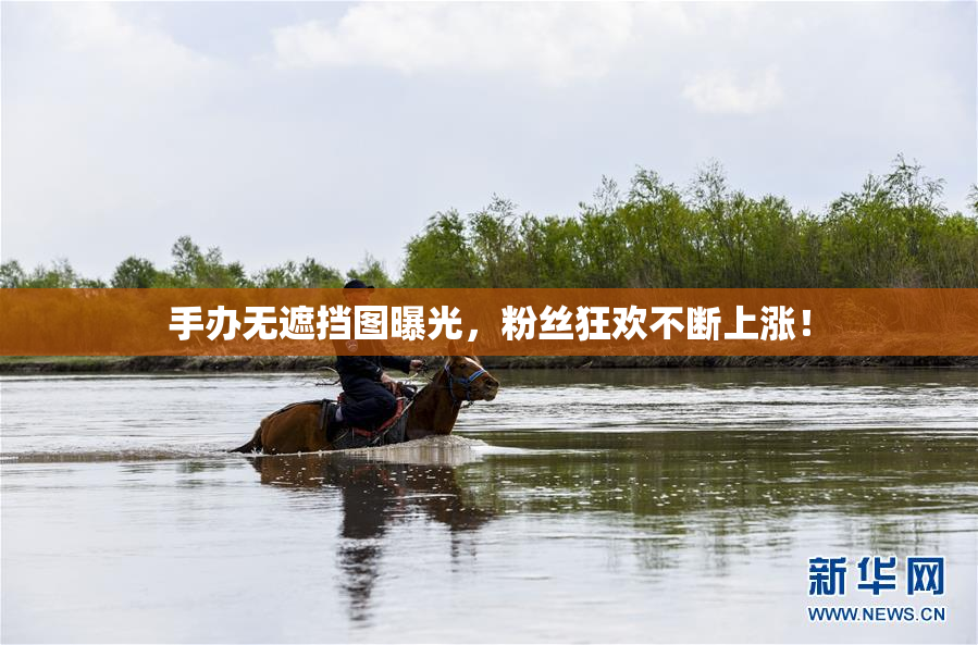 手办无遮挡图曝光，粉丝狂欢不断上涨！