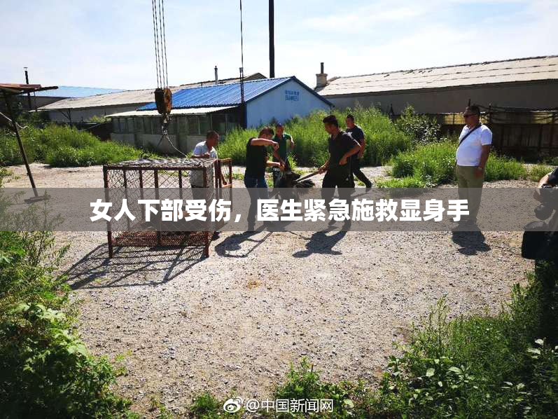 女人下部受伤，医生紧急施救显身手