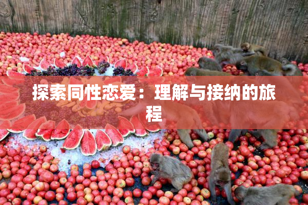 探索同性恋爱：理解与接纳的旅程