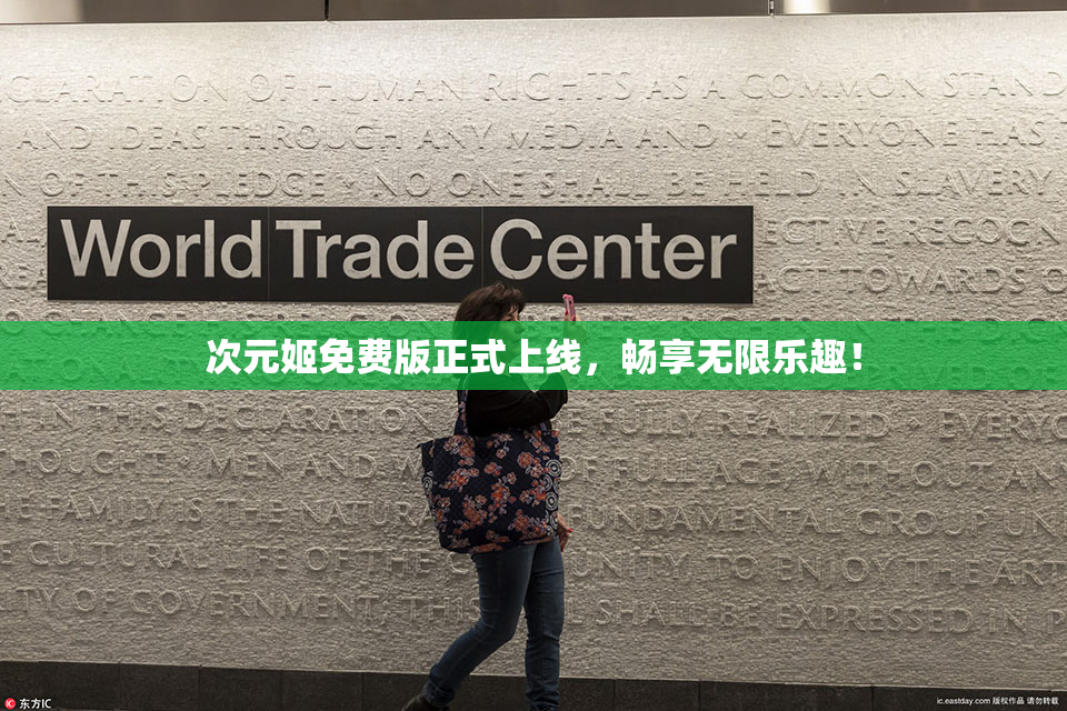 次元姬免费版正式上线，畅享无限乐趣！