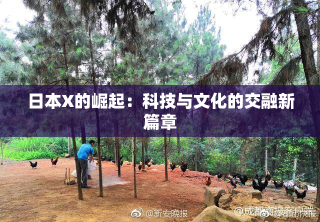 日本X的崛起：科技与文化的交融新篇章