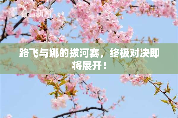 路飞与娜的拔河赛，终极对决即将展开！