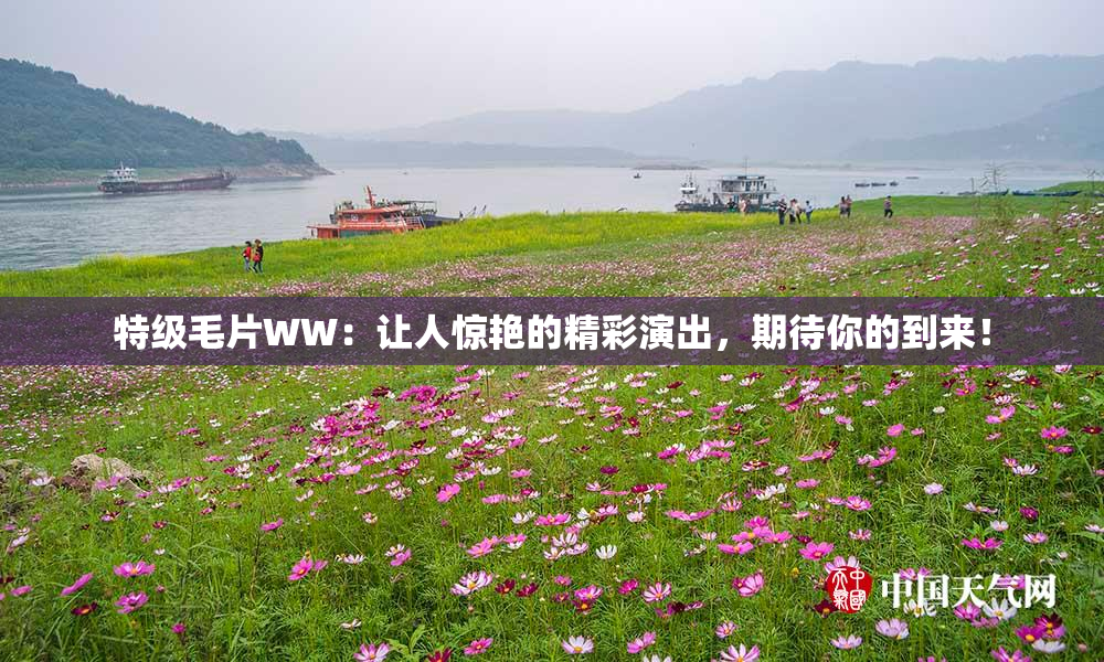 特级毛片WW：让人惊艳的精彩演出，期待你的到来！