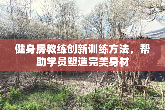 健身房教练创新训练方法，帮助学员塑造完美身材