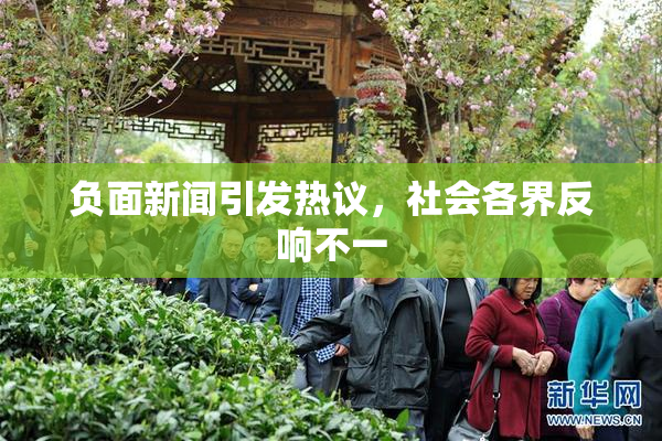 负面新闻引发热议，社会各界反响不一