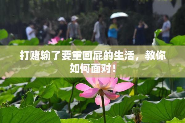 打赌输了要重回屁的生活，教你如何面对！