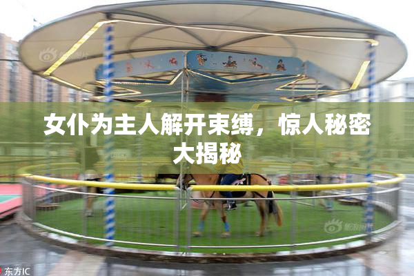 女仆为主人解开束缚，惊人秘密大揭秘