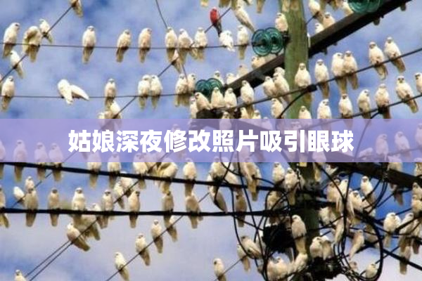 姑娘深夜修改照片吸引眼球