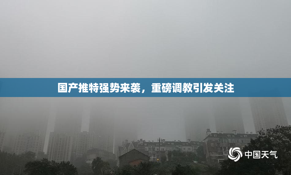 国产推特强势来袭，重磅调教引发关注
