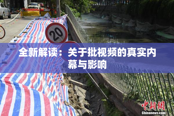全新解读：关于批视频的真实内幕与影响