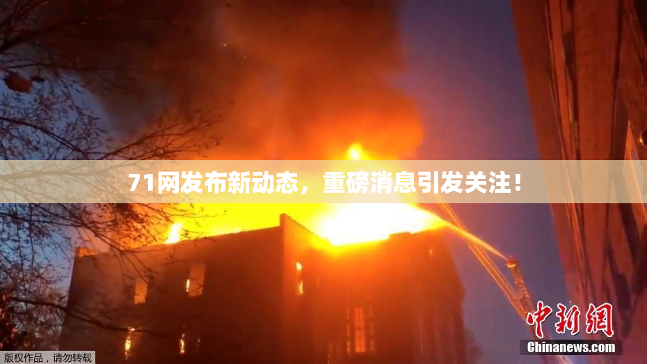 71网发布新动态，重磅消息引发关注！