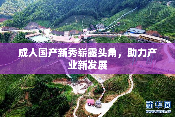 成人国产新秀崭露头角，助力产业新发展