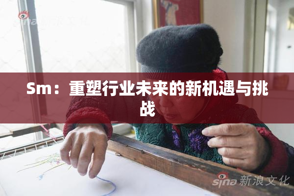 Sm：重塑行业未来的新机遇与挑战