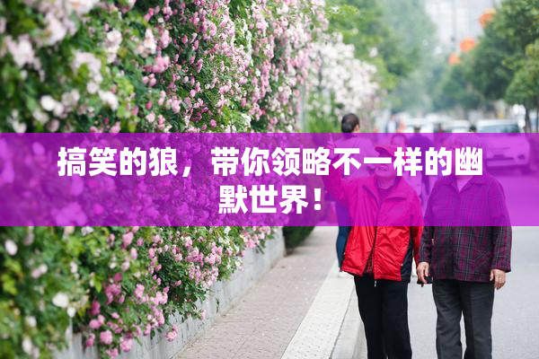 搞笑的狼，带你领略不一样的幽默世界！