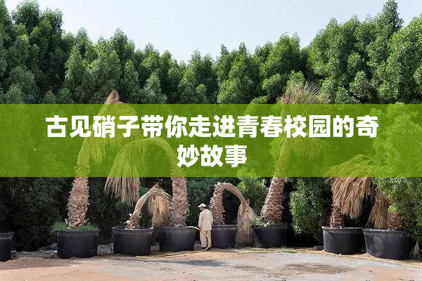 古见硝子带你走进青春校园的奇妙故事