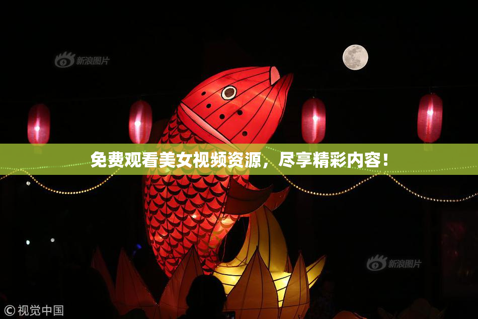 免费观看美女视频资源，尽享精彩内容！