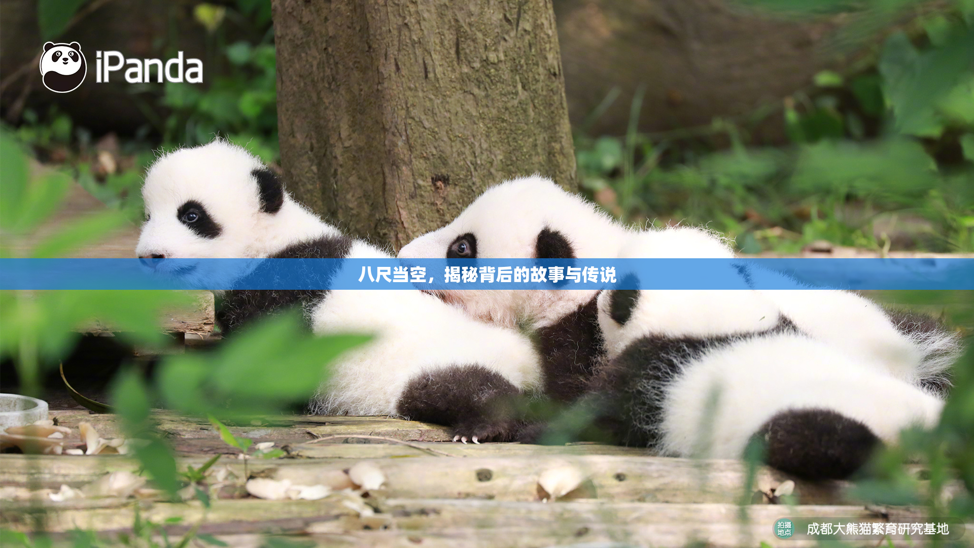 八尺当空，揭秘背后的故事与传说