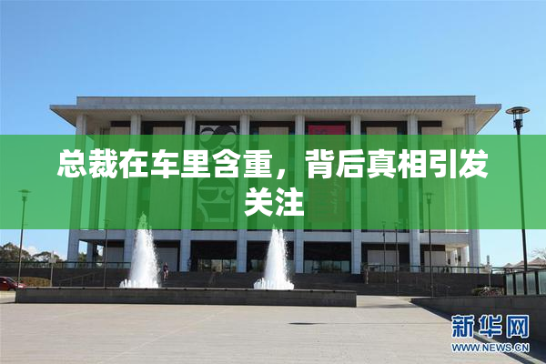 总裁在车里含重，背后真相引发关注