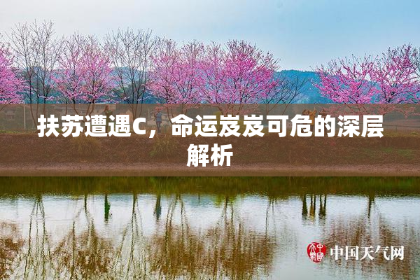 扶苏遭遇C，命运岌岌可危的深层解析