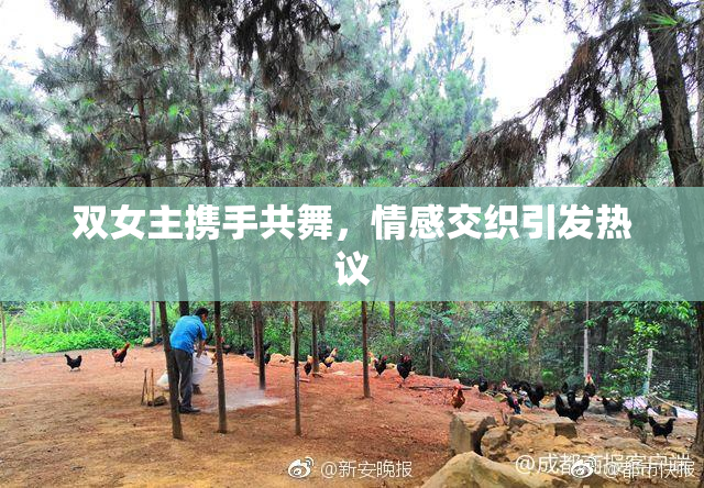 双女主携手共舞，情感交织引发热议