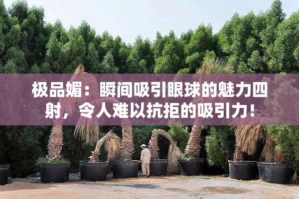 极品媚：瞬间吸引眼球的魅力四射，令人难以抗拒的吸引力！