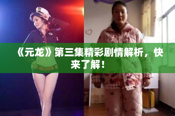 《元龙》第三集精彩剧情解析，快来了解！