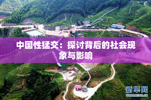 中国性猛交：探讨背后的社会现象与影响