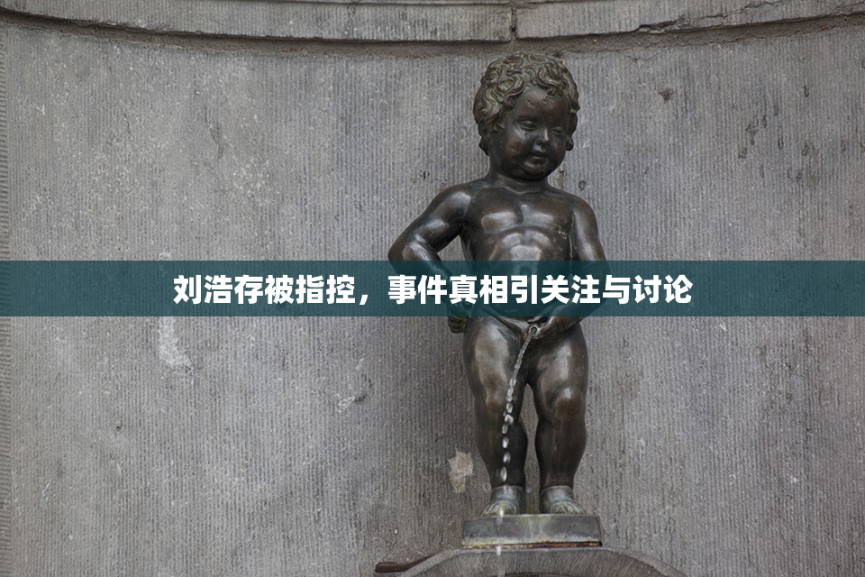 刘浩存被指控，事件真相引关注与讨论