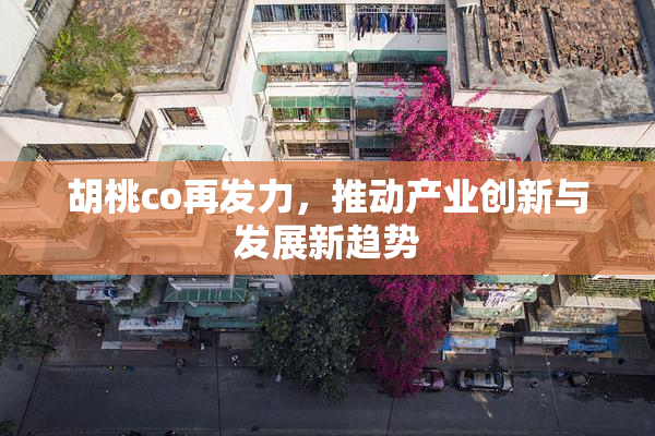 胡桃co再发力，推动产业创新与发展新趋势