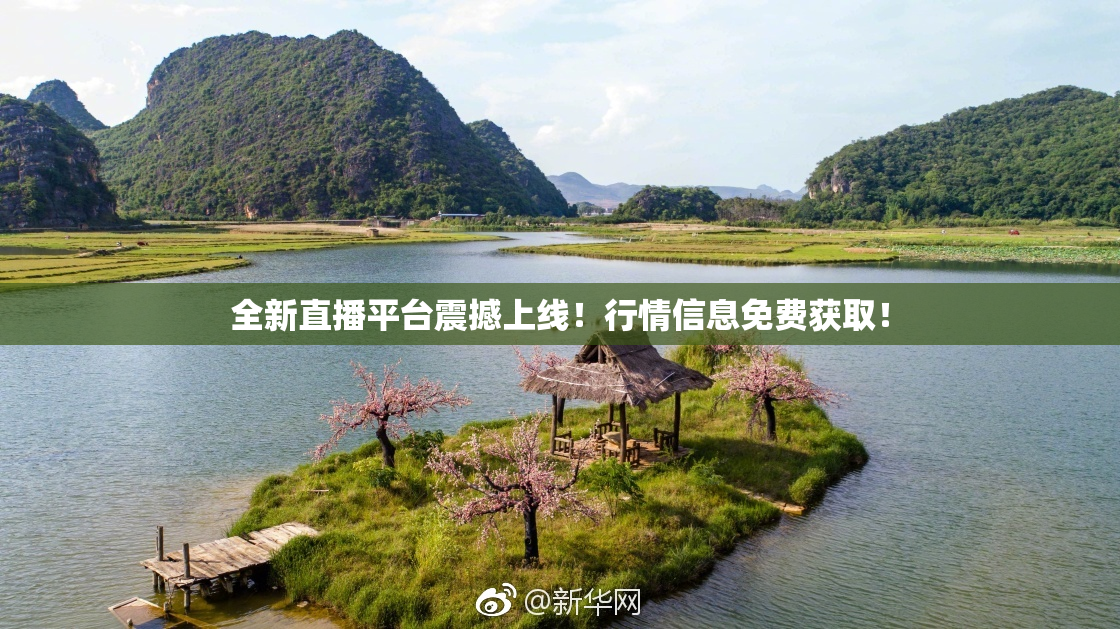 全新直播平台震撼上线！行情信息免费获取！