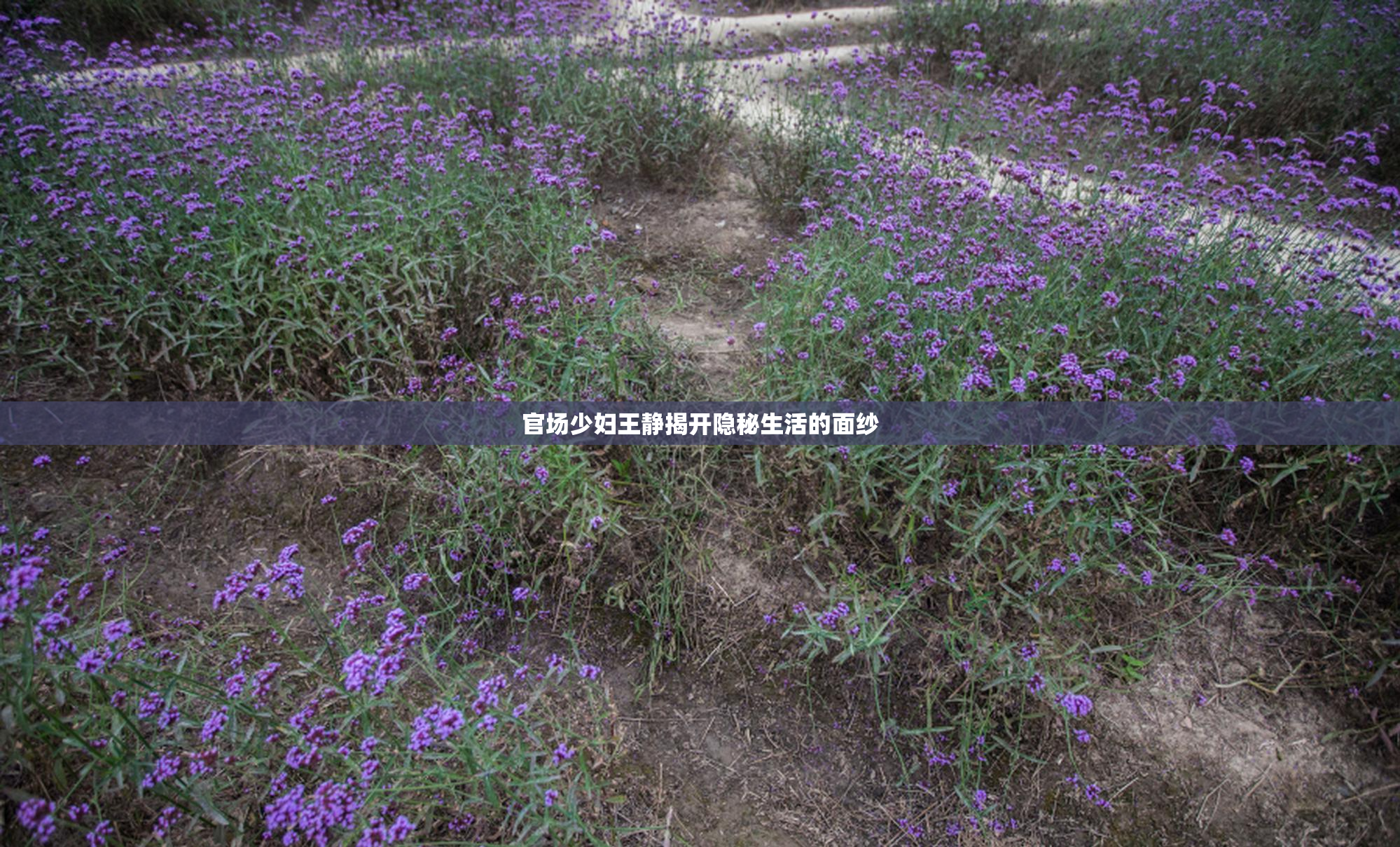 官场少妇王静揭开隐秘生活的面纱