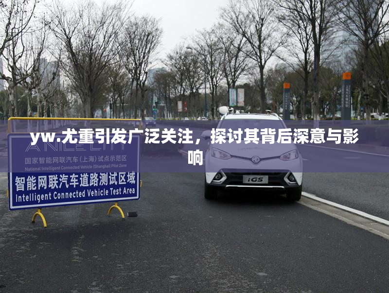yw.尤重引发广泛关注，探讨其背后深意与影响