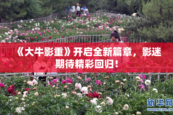 《大牛影重》开启全新篇章，影迷期待精彩回归！