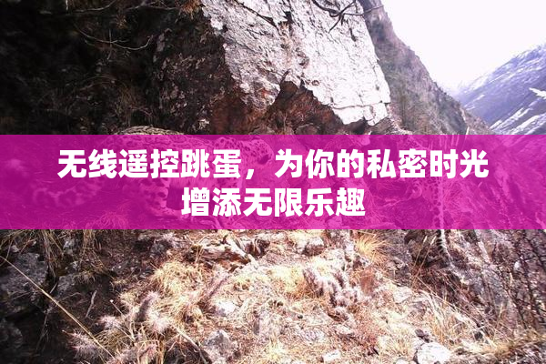 无线遥控跳蛋，为你的私密时光增添无限乐趣
