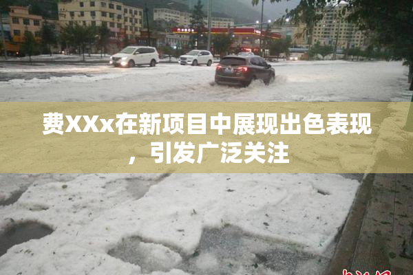 费XXx在新项目中展现出色表现，引发广泛关注