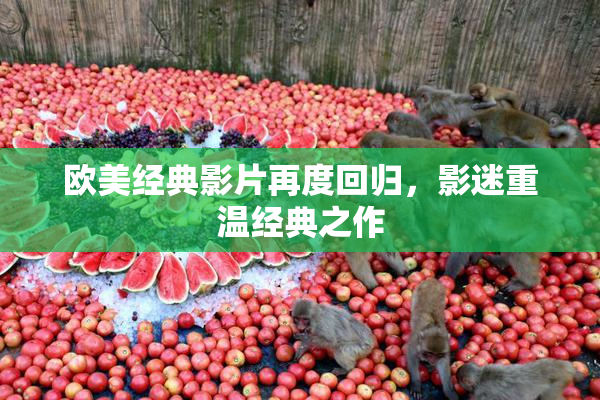欧美经典影片再度回归，影迷重温经典之作