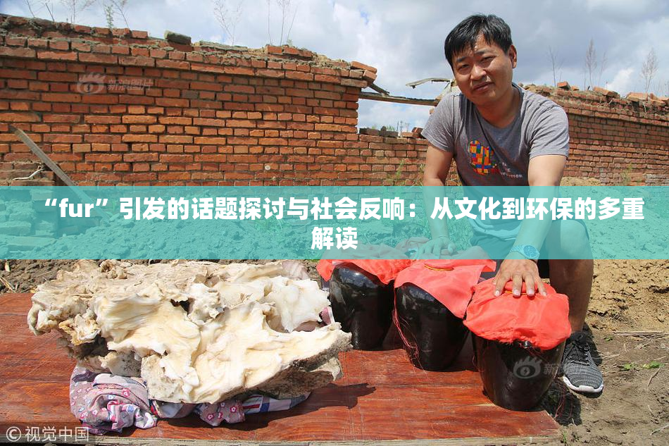 “fur”引发的话题探讨与社会反响：从文化到环保的多重解读