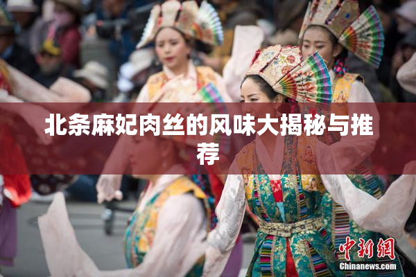北条麻妃肉丝的风味大揭秘与推荐
