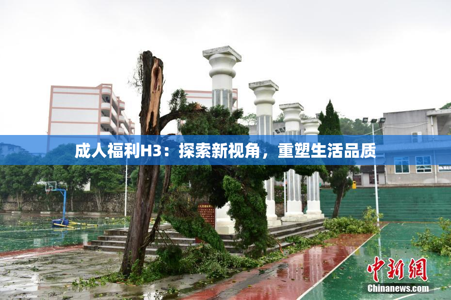 成人福利H3：探索新视角，重塑生活品质