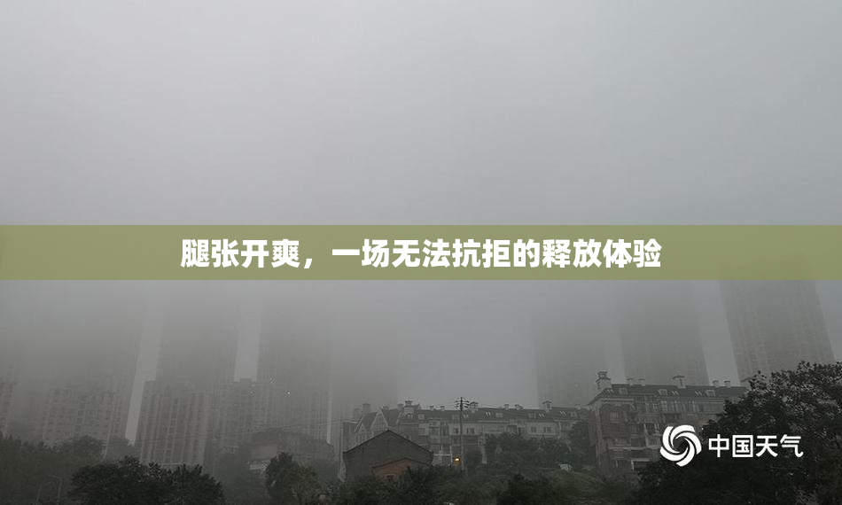 腿张开爽，一场无法抗拒的释放体验