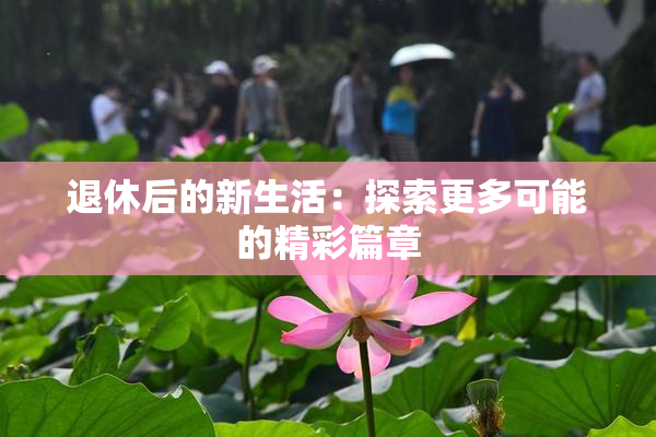 退休后的新生活：探索更多可能的精彩篇章