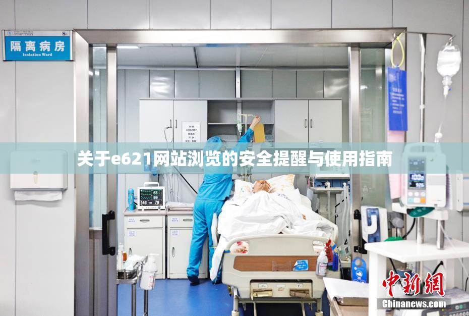 关于e621网站浏览的安全提醒与使用指南