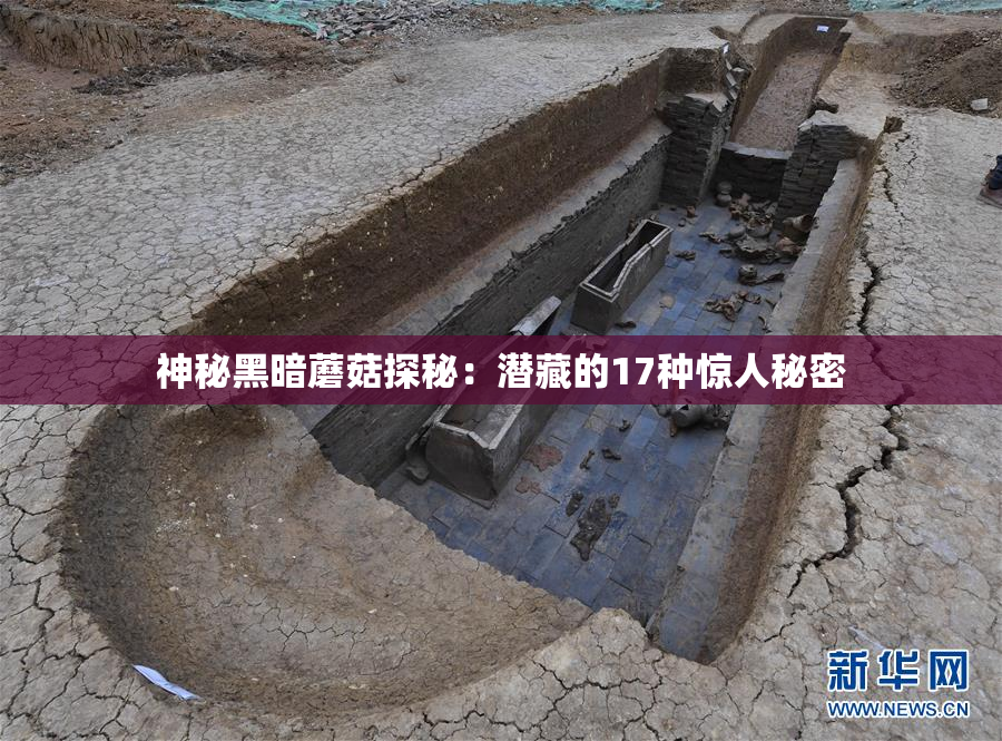 神秘黑暗蘑菇探秘：潜藏的17种惊人秘密