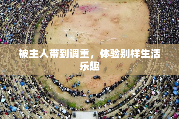 被主人带到调重，体验别样生活乐趣