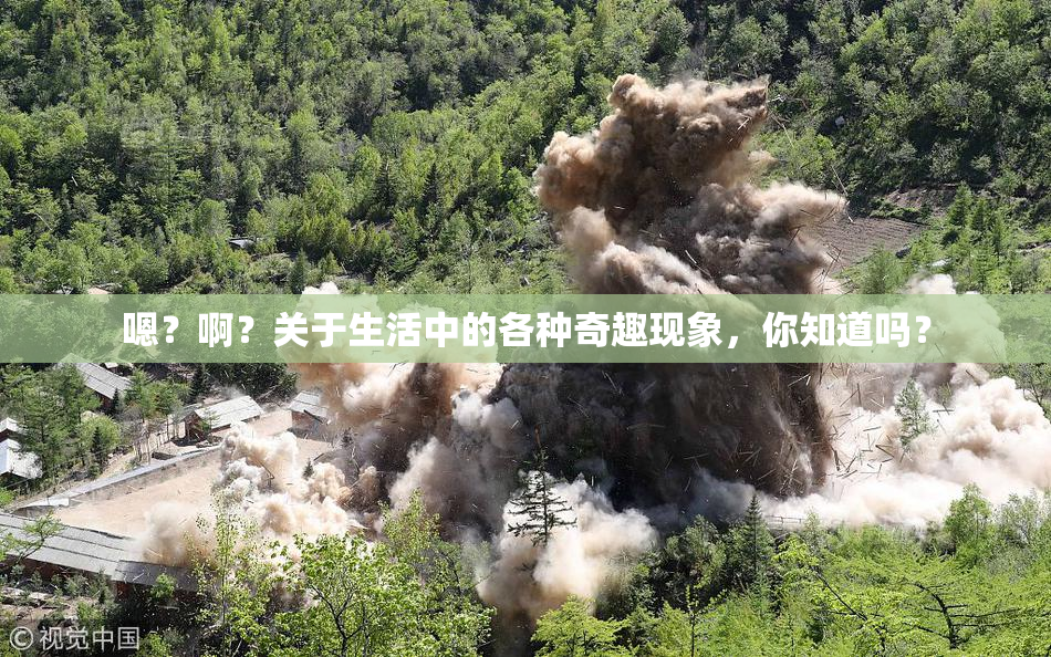 嗯？啊？关于生活中的各种奇趣现象，你知道吗？