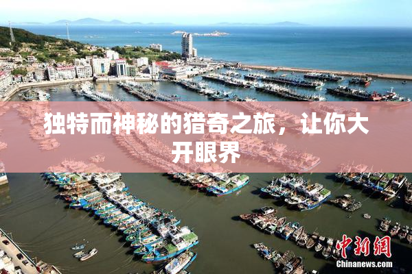 独特而神秘的猎奇之旅，让你大开眼界