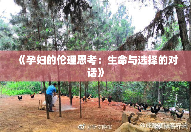 《孕妇的伦理思考：生命与选择的对话》