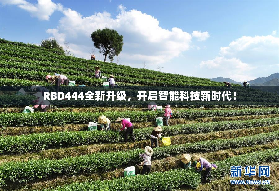 RBD444全新升级，开启智能科技新时代！